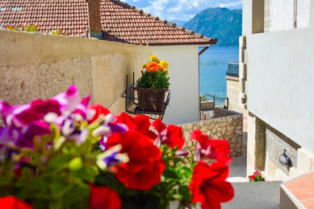 Apartment The Sea Coast Kotor Eksteriør bilde